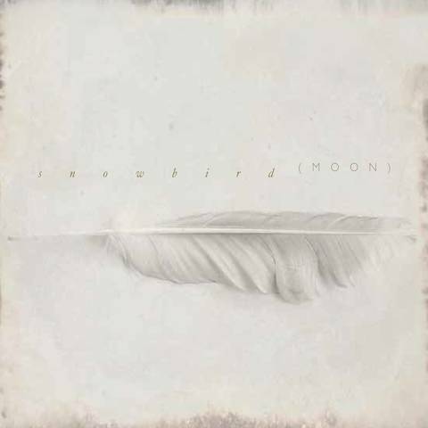 Snowbird by Moon