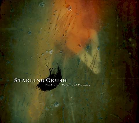 Tea Leaves, Murder and Dreaming by Starling Crush