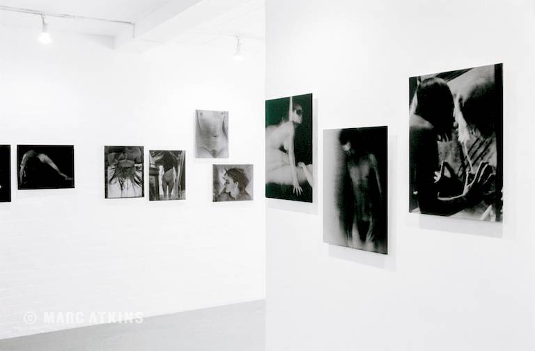 The Teratologists, Standpoint Gallery, London, 2001