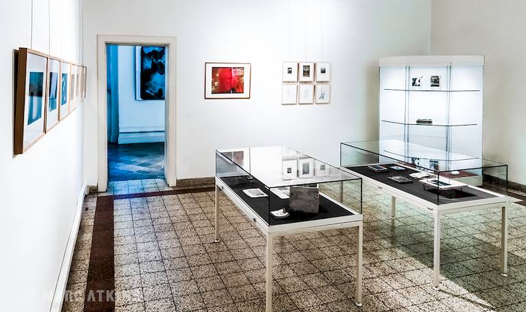 Ingrain, Musée Wittert, Liège, Belgium, 2014