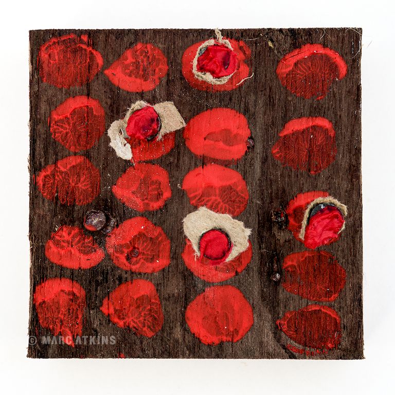 Topograph 377 by Marc Atkins, sculpture photograph, front view